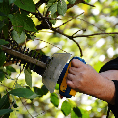 Arbeitseinsatz für alle Gartenfreunde 